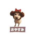 くぅたんです。宜しくお願いします。（個別スタンプ：16）