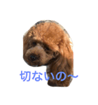 まんまるぽん太と妹のん3（個別スタンプ：5）