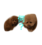 まんまるぽん太と妹のん3（個別スタンプ：6）