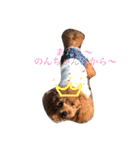 まんまるぽん太と妹のん3（個別スタンプ：11）