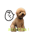 まんまるぽん太と妹のん3（個別スタンプ：19）