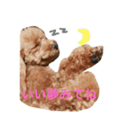 まんまるぽん太と妹のん3（個別スタンプ：22）