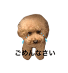 まんまるぽん太と妹のん3（個別スタンプ：23）