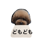 まんまるぽん太と妹のん4（個別スタンプ：7）