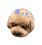 まんまるぽん太と妹のん4（個別スタンプ：10）