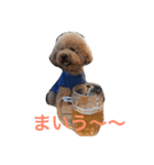 まんまるぽん太と妹のん4（個別スタンプ：12）
