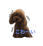まんまるぽん太と妹のん4（個別スタンプ：20）
