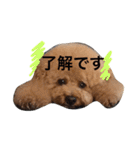 まんまるぽん太と妹のん4（個別スタンプ：24）