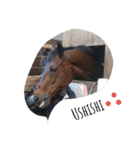 Funny horse and friends 2（個別スタンプ：2）