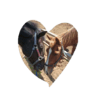 Funny horse and friends 2（個別スタンプ：6）