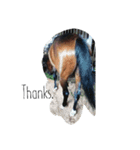 Funny horse and friends 2（個別スタンプ：7）