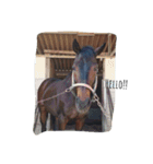 Funny horse and friends 2（個別スタンプ：8）