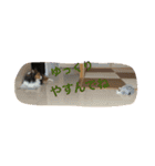 うちのシェルティ（個別スタンプ：17）