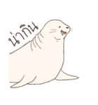 I'm a Chubby Seal（個別スタンプ：16）