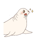 I'm a Chubby Seal（個別スタンプ：30）