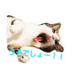 ぎんじとこなつ その1（個別スタンプ：3）