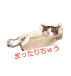ぎんじとこなつ その1（個別スタンプ：4）
