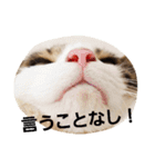 ぎんじとこなつ その1（個別スタンプ：9）