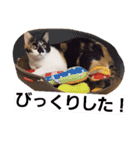 ぎんじとこなつ その1（個別スタンプ：12）