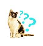 ぎんじとこなつ その1（個別スタンプ：15）