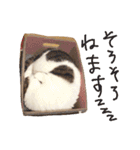 ぎんじとこなつ その1（個別スタンプ：19）