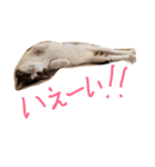 ぎんじとこなつ その1（個別スタンプ：20）