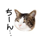 ぎんじとこなつ その1（個別スタンプ：24）