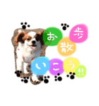 キャバゆき2（個別スタンプ：2）