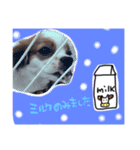 キャバゆき2（個別スタンプ：3）