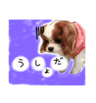 キャバゆき2（個別スタンプ：7）