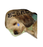 なーのん（個別スタンプ：3）