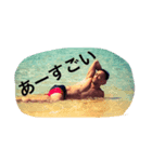 ダンサーZINのスタンプ第一弾！（個別スタンプ：3）