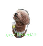 犬*猫の日常（個別スタンプ：14）
