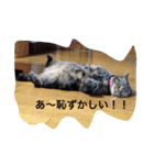 lovelyたまちゃん（個別スタンプ：4）