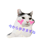 うーさんちの猫達2。（個別スタンプ：2）