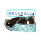 うーさんちの猫達2。（個別スタンプ：7）