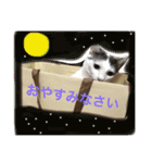 うーさんちの猫達2。（個別スタンプ：13）