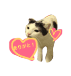 うーさんちの猫達2。（個別スタンプ：14）
