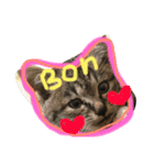 うーさんちの猫達2。（個別スタンプ：18）