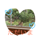 とある田舎町の猫たち（個別スタンプ：8）