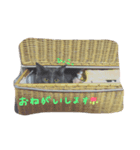 サシャのゆる〜いスタンプ（個別スタンプ：4）