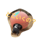 ゆりづくし（個別スタンプ：9）