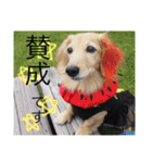 我が家の短足部（個別スタンプ：8）
