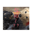 我が家の短足部（個別スタンプ：14）