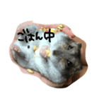 ハムちゃんごはん（個別スタンプ：1）