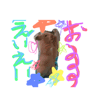 まなみのボブ（個別スタンプ：5）