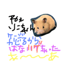 まなみのボブ（個別スタンプ：8）