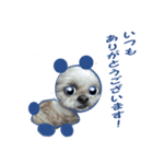 dog and cat sticker999（個別スタンプ：3）