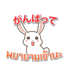 毎日楽しめる ウサギ 日本語タイ語（個別スタンプ：5）