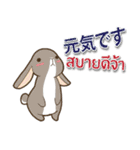 毎日楽しめる ウサギ 日本語タイ語（個別スタンプ：15）